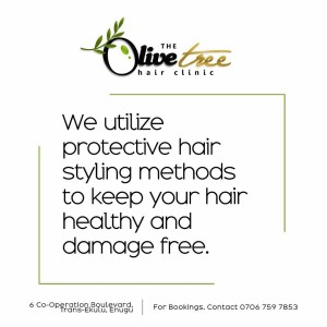 theolivetreehc-1476022276078