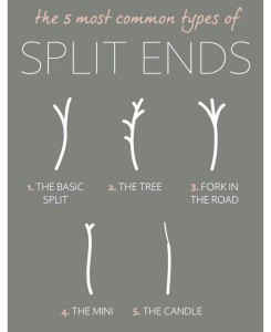 split ends
