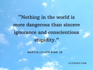 “Nothing in the world is more dangerous than sincere ignorance and conscientious stupidity.” Martin Luther king quotes