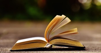 Of a Dearth of Literary Criticism; The NLNG Sponsored Prize for Literature open book lying on floor